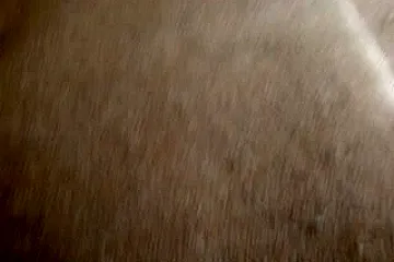 Ebony slut gets nailed on couch - porn video