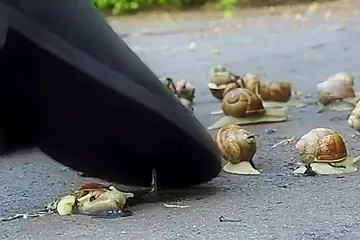 rubberboot crush crawdads - porn video