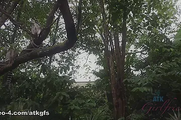 Gia Paige in Gia Gets Up Close To Some Cute Animals At The Zoo - ATKGirlfriends - porn video