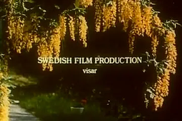The Language of Love (1970) - porn video