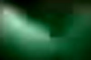 Excuse Me 13 - Danish - porn video