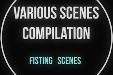 Various Scenes Compilation - porn video