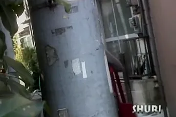 Japanese chicks revealed in top sharking incidents - porn video