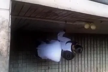 Chinese students 18+ stair fuck - porn video