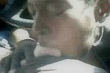 Black Hooker BJ in Car - porn video