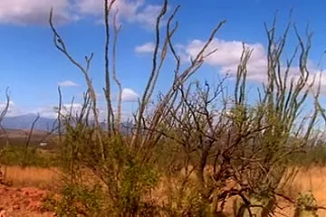 The Return Of The Post Apocalyptic Cowgirls - porn video