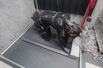 My Doggy Maid - porn video