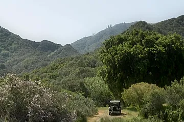 Bad blonde slut loves being dicked hard outdoors - porn video
